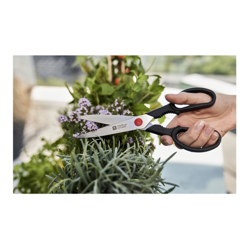 Zwilling ZWILLING