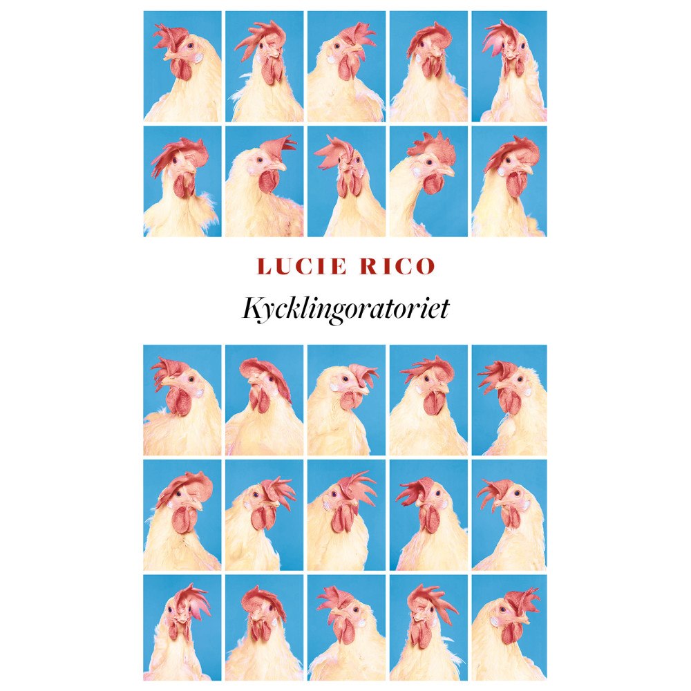 Lucie Rico Kycklingoratoriet (pocket)