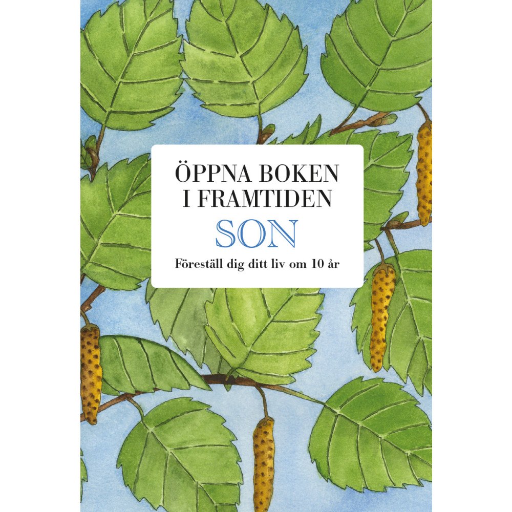 Mats Billmark Son : öppna boken i framtiden (bok, kartonnage)