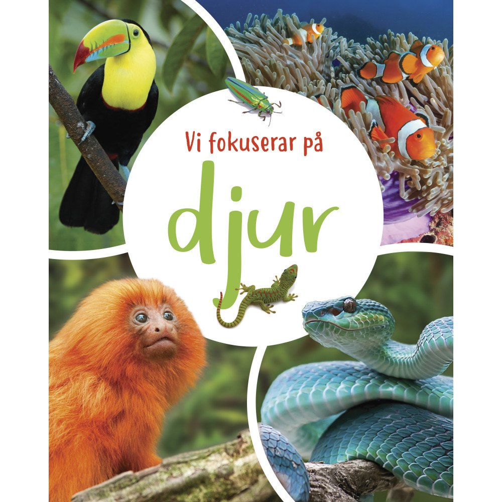 Claudia Martin Vi fokuserar på. Djur (inbunden)