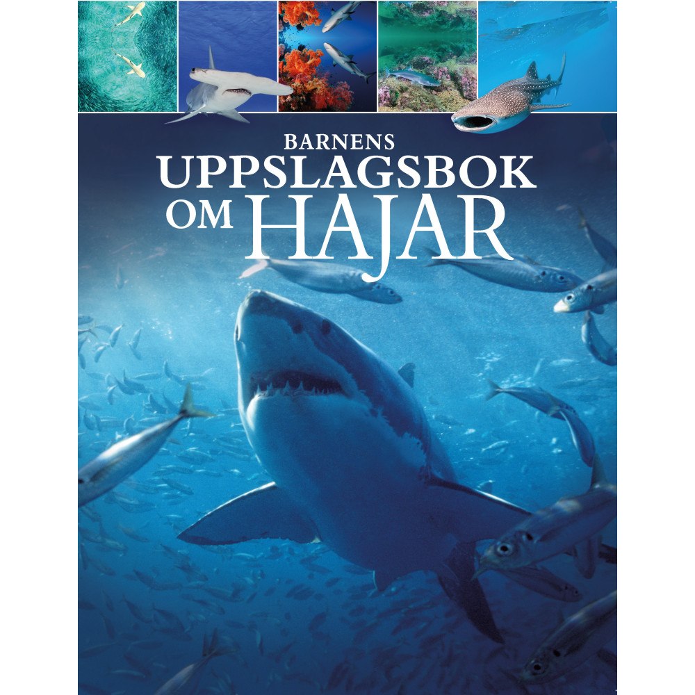 Claudia Martin Barnens uppslagsbok om hajar (inbunden)