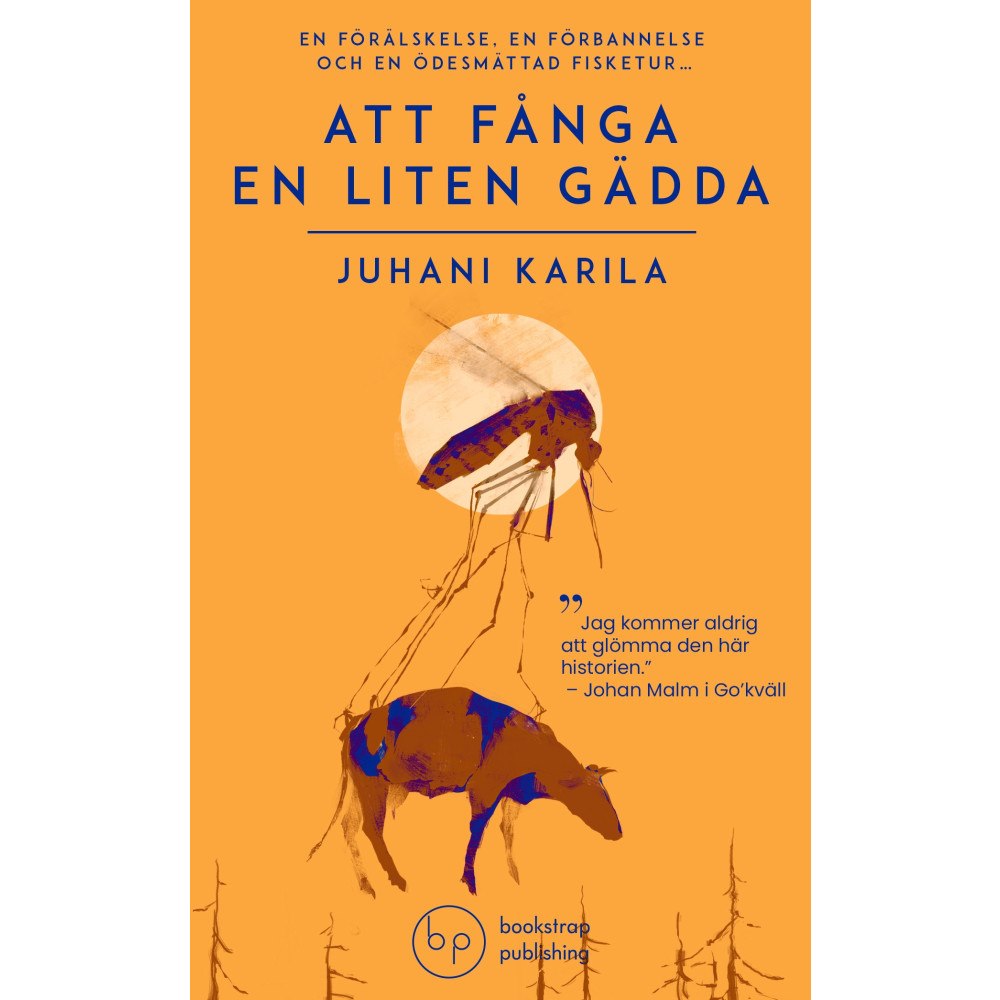Juhani Karila Att fånga en liten gädda (pocket)