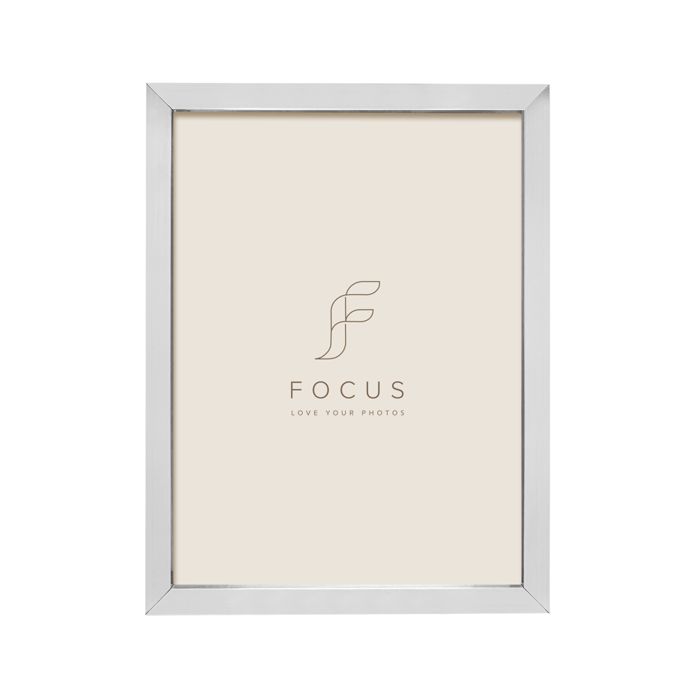 FOCUS Focus Ivy Silver 24x30