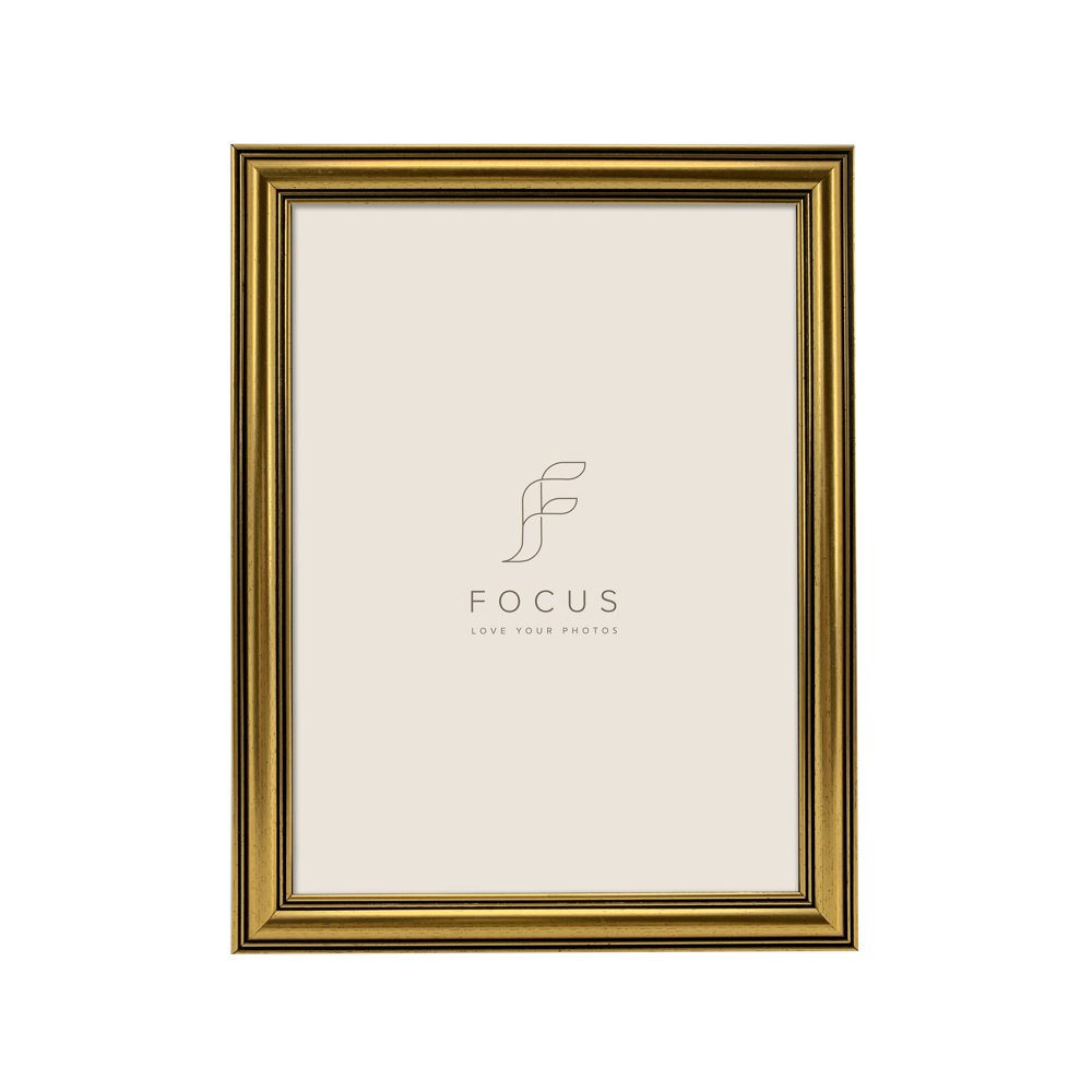 FOCUS Focus Holly Gold 18x24