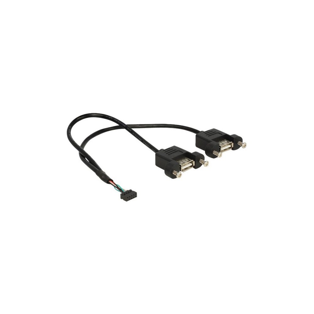 DeLOCK Delock - USB-intern till extern kabel - 10-stifts USB-överdel till USB - 25 cm