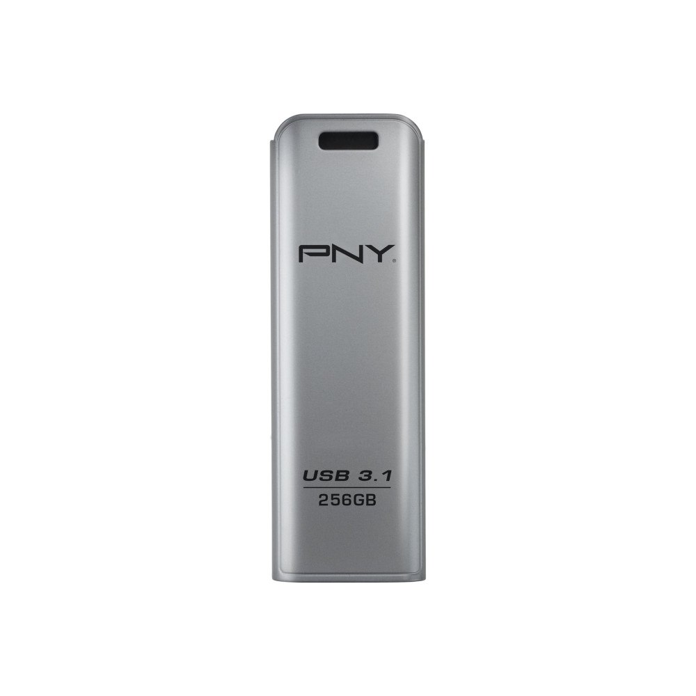 PNY Technologies PNY Elite Steel - USB flash-enhet - 256 GB