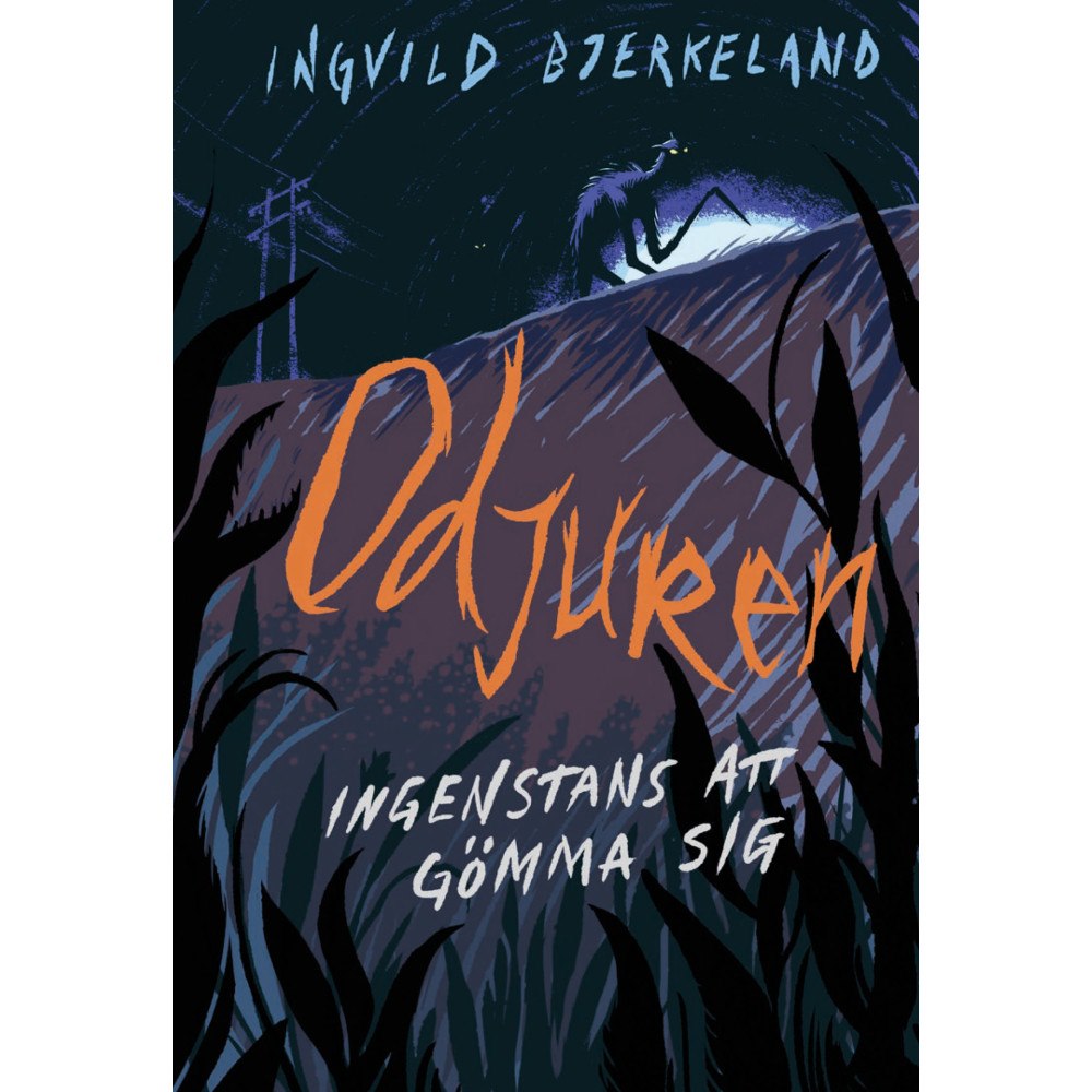 Lilla Piratförlaget Ingenstans att gömma sig (inbunden)
