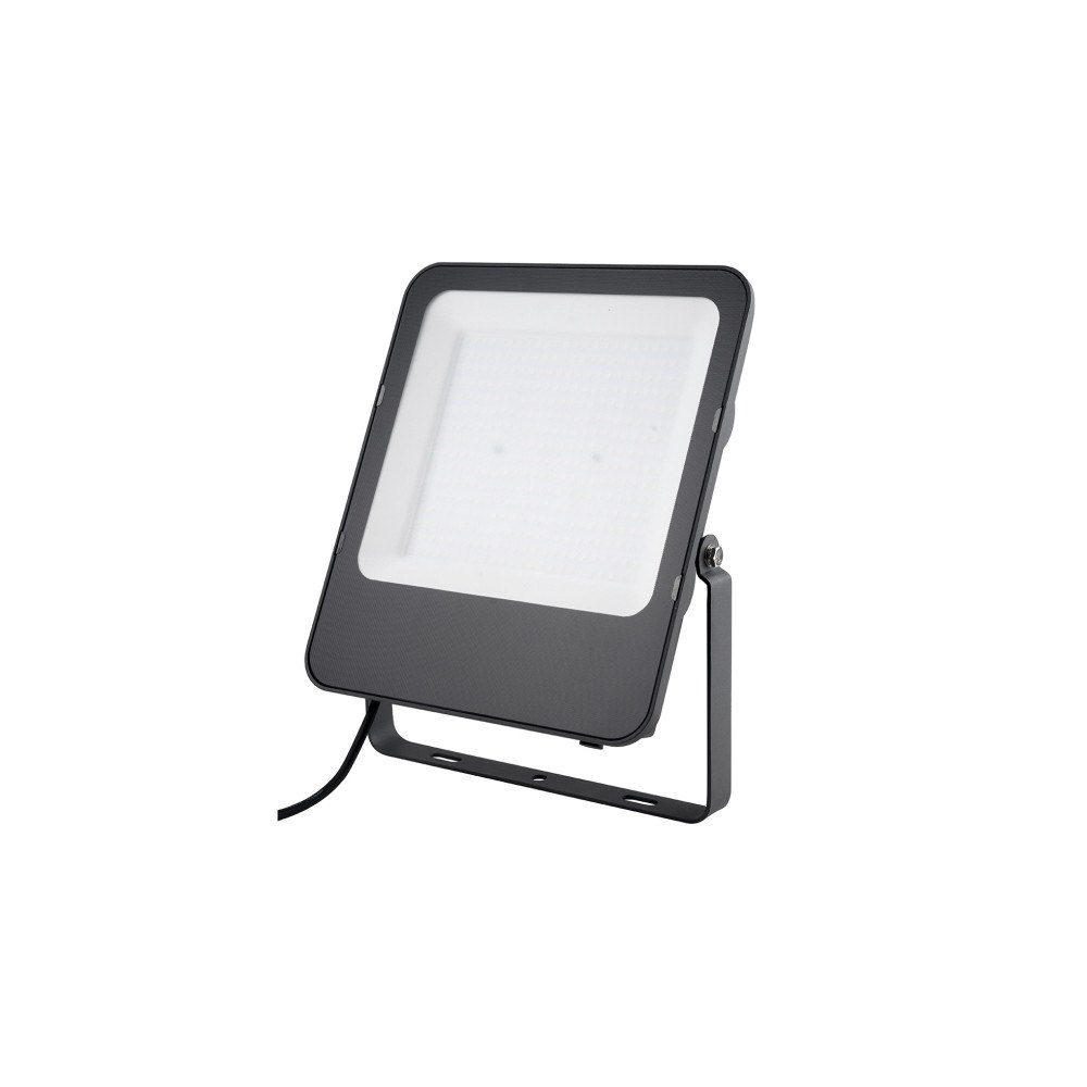 Dansk Værktøjs Agentur ApS Blue Electric projektør 200W