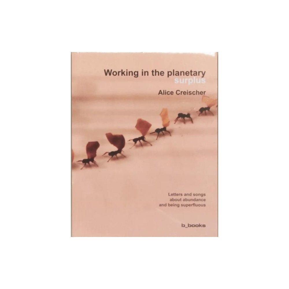 Bbooks Verlag Working in the planetary surplus (häftad, eng)