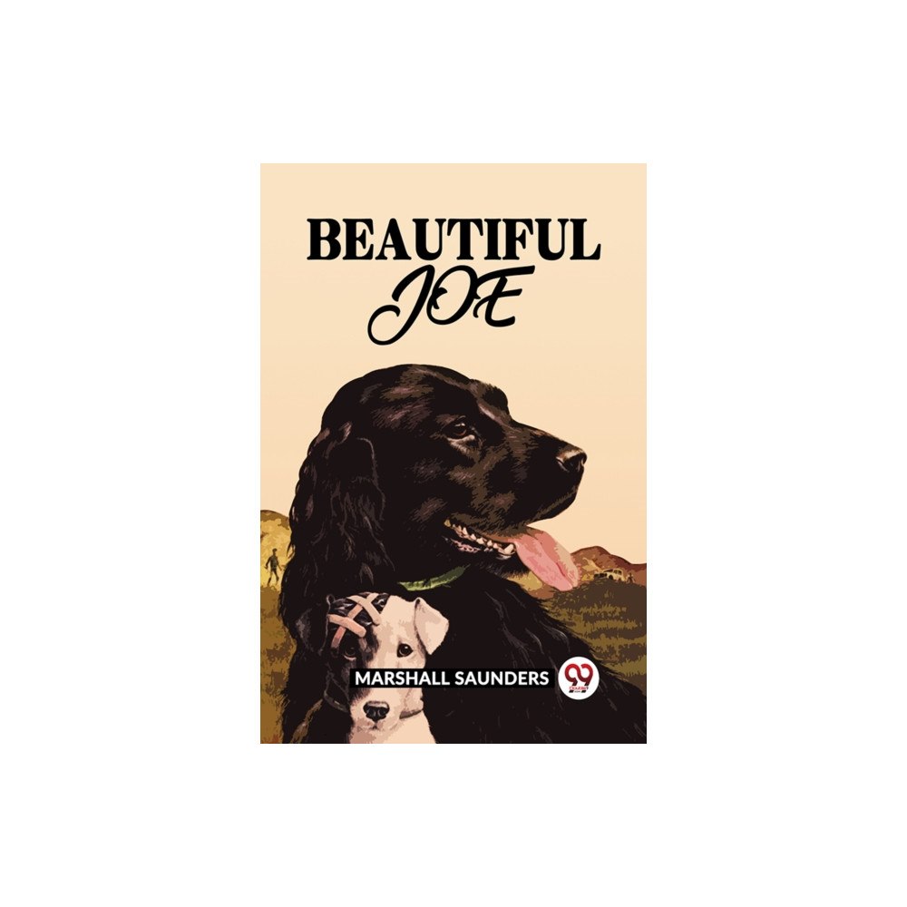 Double 9 Books BEAUTIFUL JOE (häftad, eng)