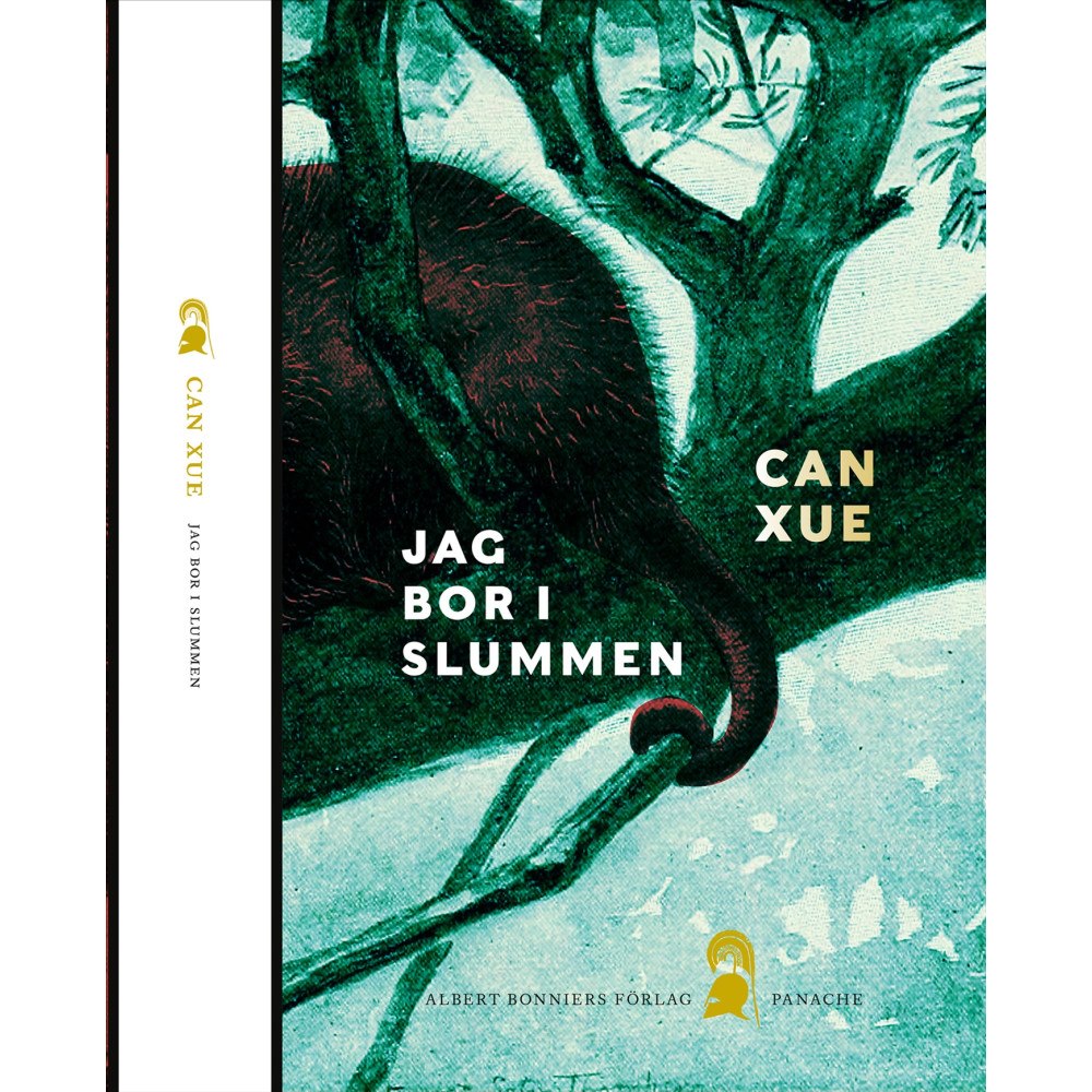 Can Xue Jag bor i slummen (bok, danskt band)