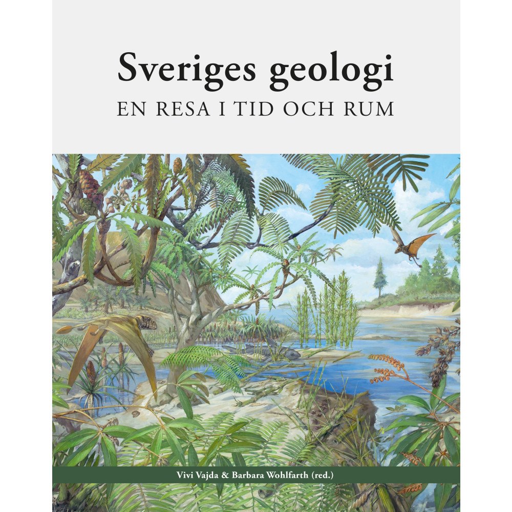Vivi Vajda Sveriges geologi : en resa i tid och rum (bok, kartonnage)