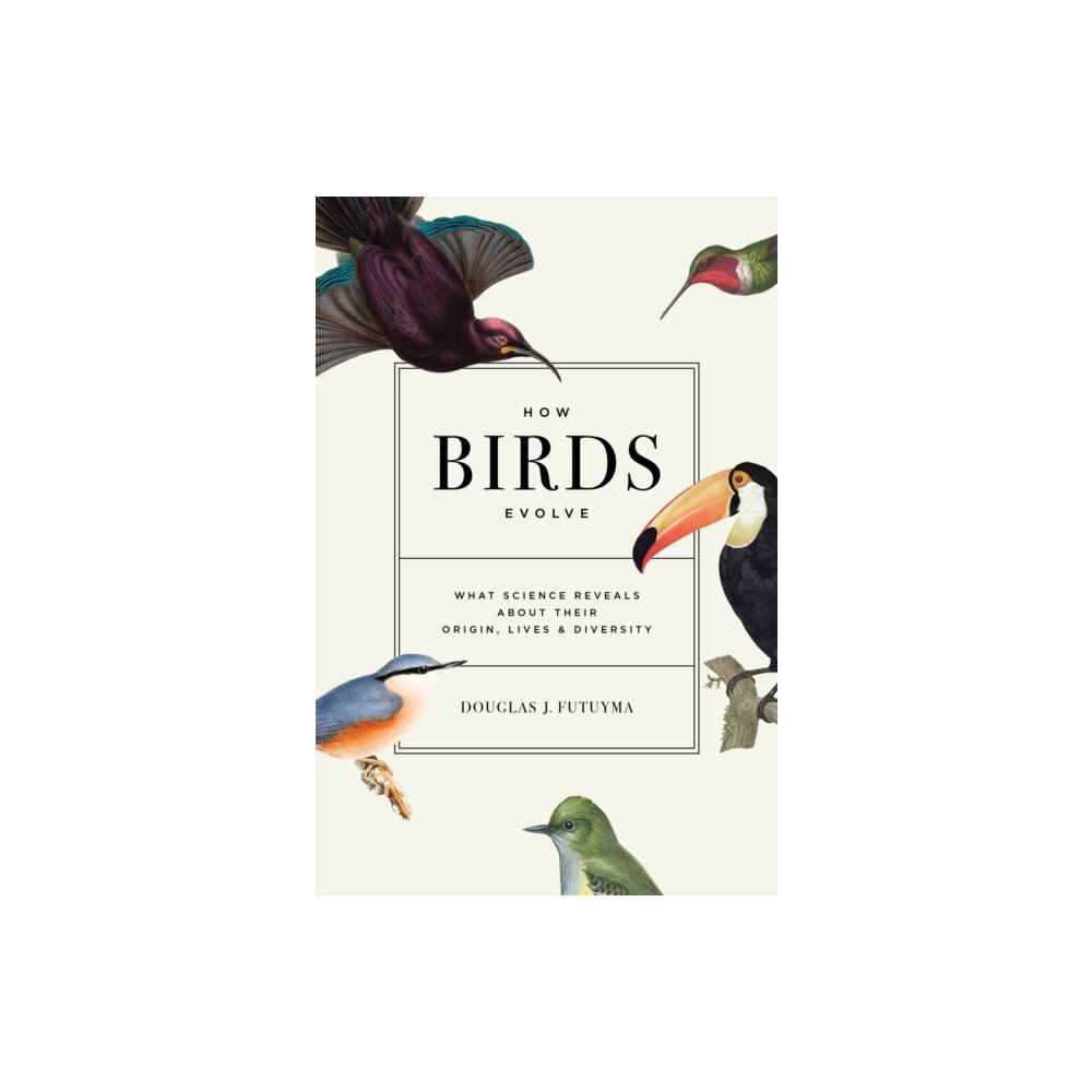 Princeton University Press How Birds Evolve (häftad, eng)