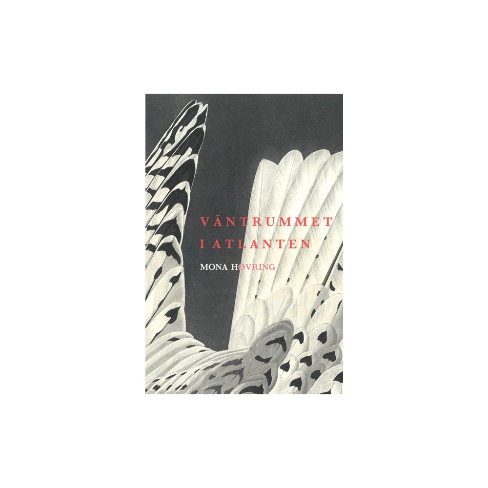 Mona Høvring Väntrummet i Atlanten (bok, danskt band)