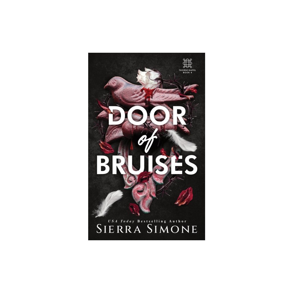 Sourcebooks, Inc Door of Bruises (häftad, eng)