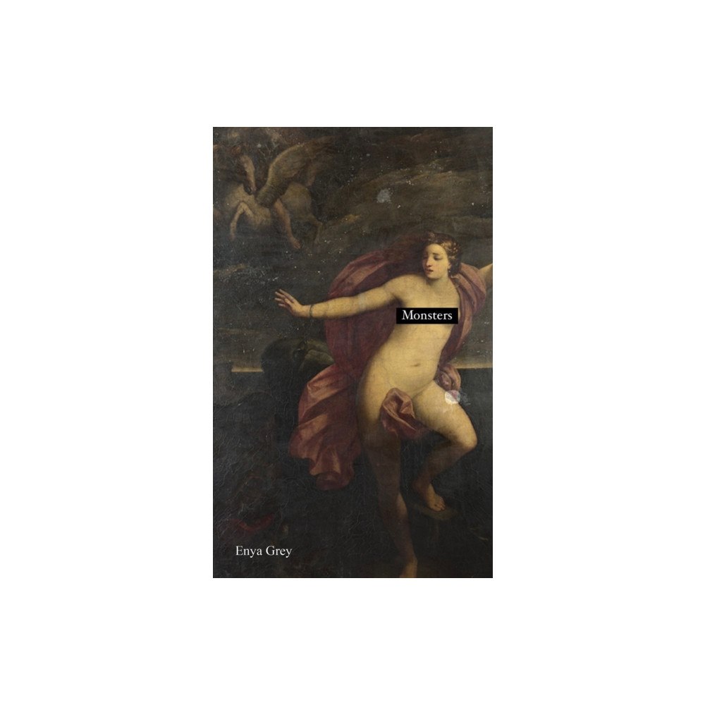 Austin Macauley Publishers Monsters (häftad, eng)