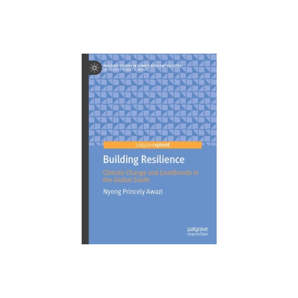 Springer International Publishing AG Building Resilience (inbunden, eng)