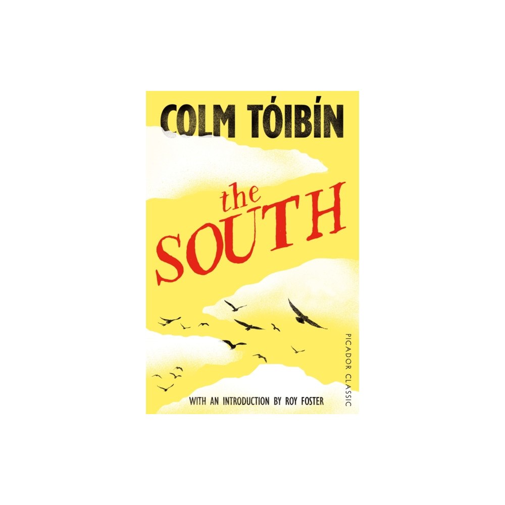 Pan Macmillan The South (häftad, eng)