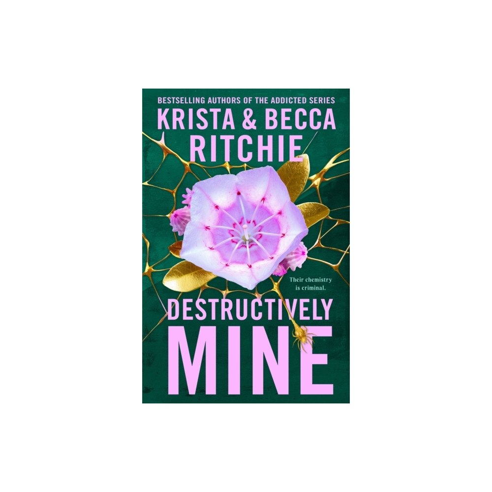 Krista Ritchie Destructively Mine (pocket, eng)