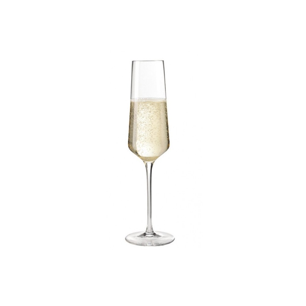 Leonardo LEONARDO Puccini, Champagneglas, 280 ml, Glas, Transparent,...