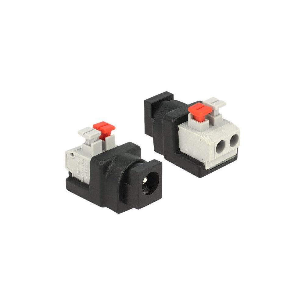 DeLOCK Delock - strömadapter - 2 stifts terminalblock till DC-jack 5,5 x 2,1 mm