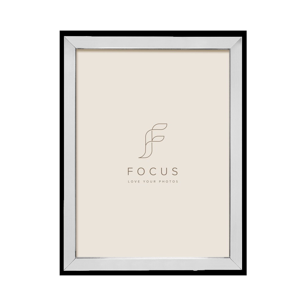 FOCUS Focus Ivy Silver 13x18