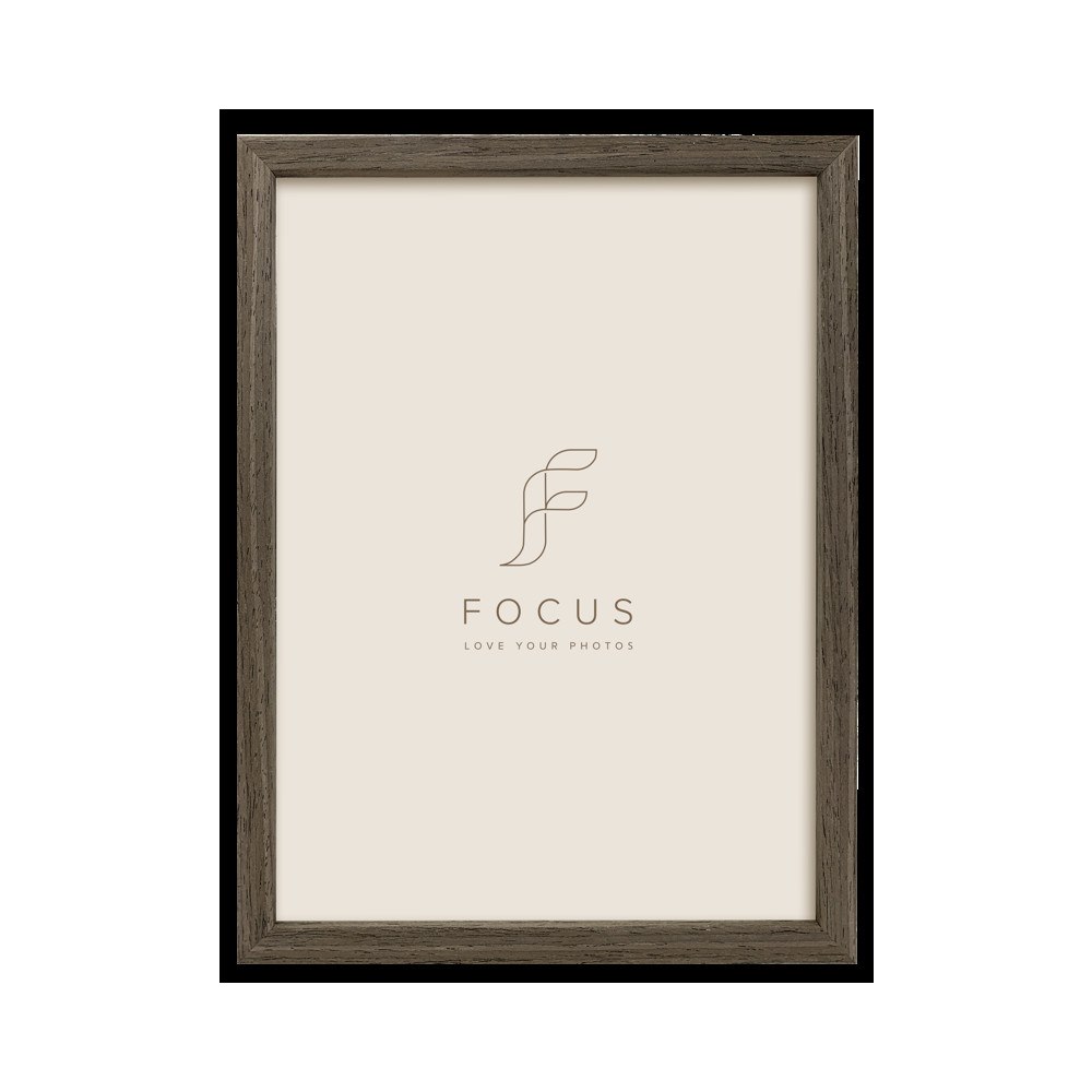 FOCUS Focus Willow Walnut 13X18