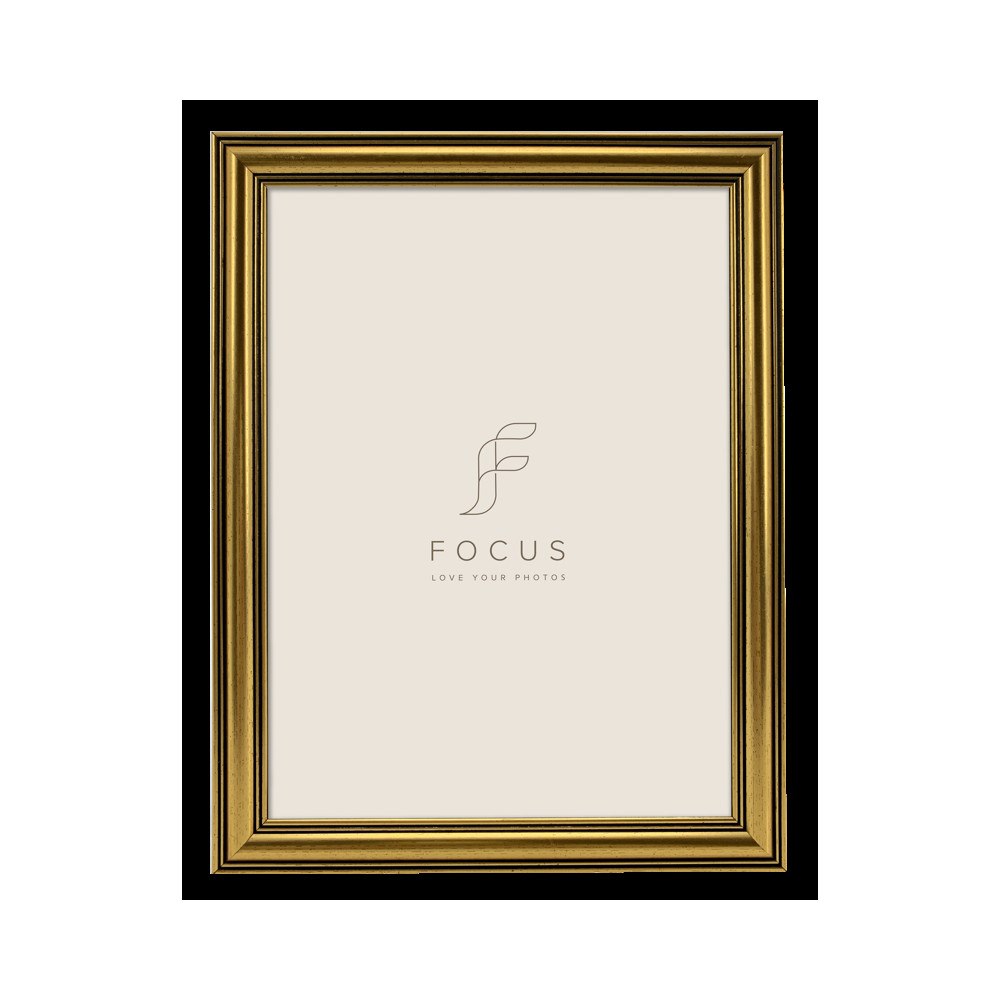 FOCUS Focus Holly Gold 10x15