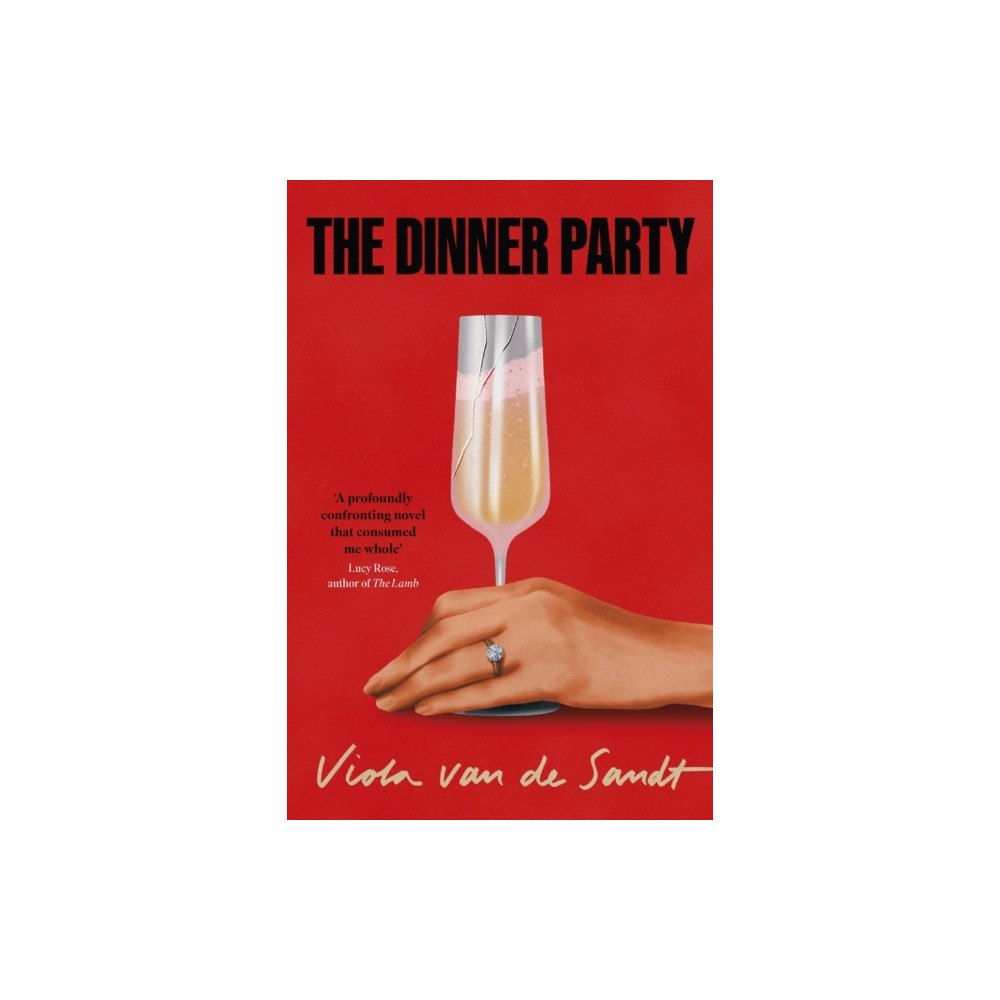 Viola van de Sandt The Dinner Party (häftad, eng)
