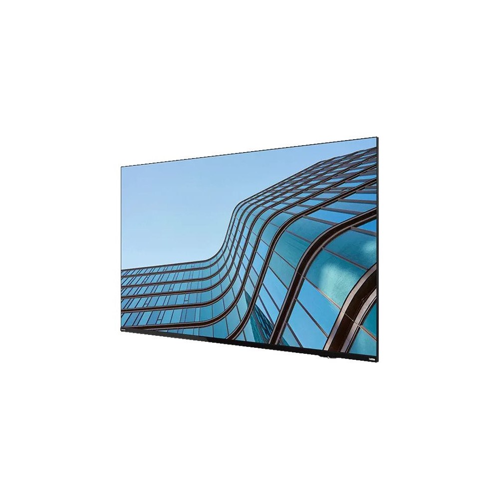 Lenovo Lenovo ThinkVision E55 LFD