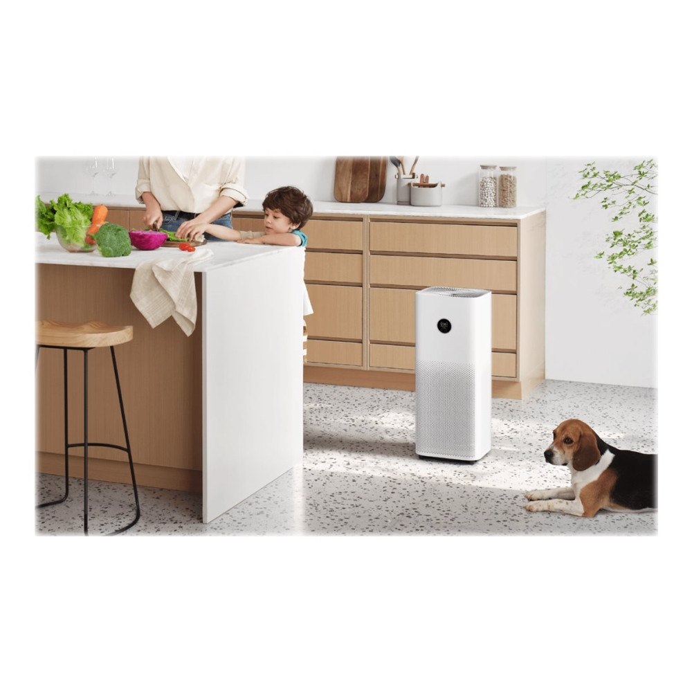 Xiaomi Xiaomi MI AC-M15-SC