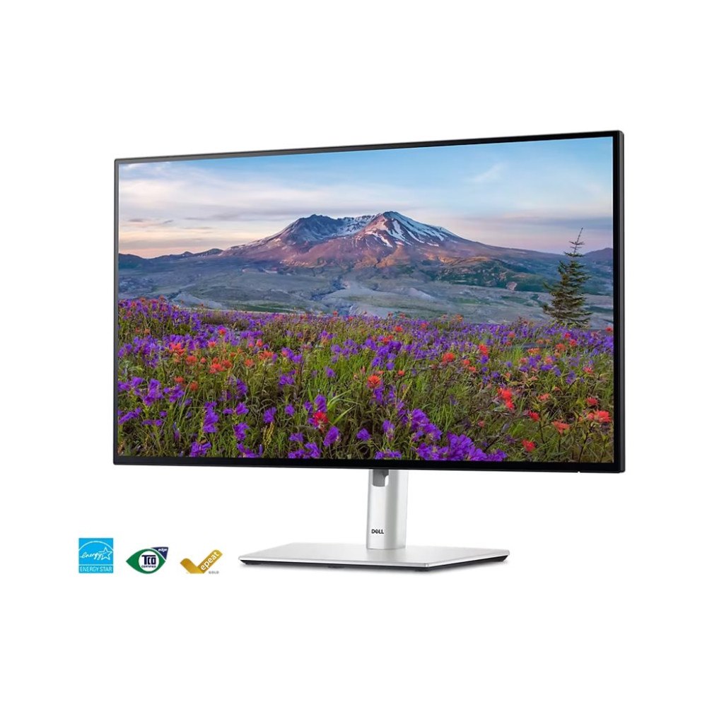 DELL Dell UltraSharp U2424HE - LED-skärm - Full HD (1080p) - 24"