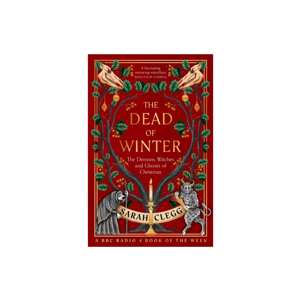 Sarah Clegg The Dead of Winter (pocket, eng)