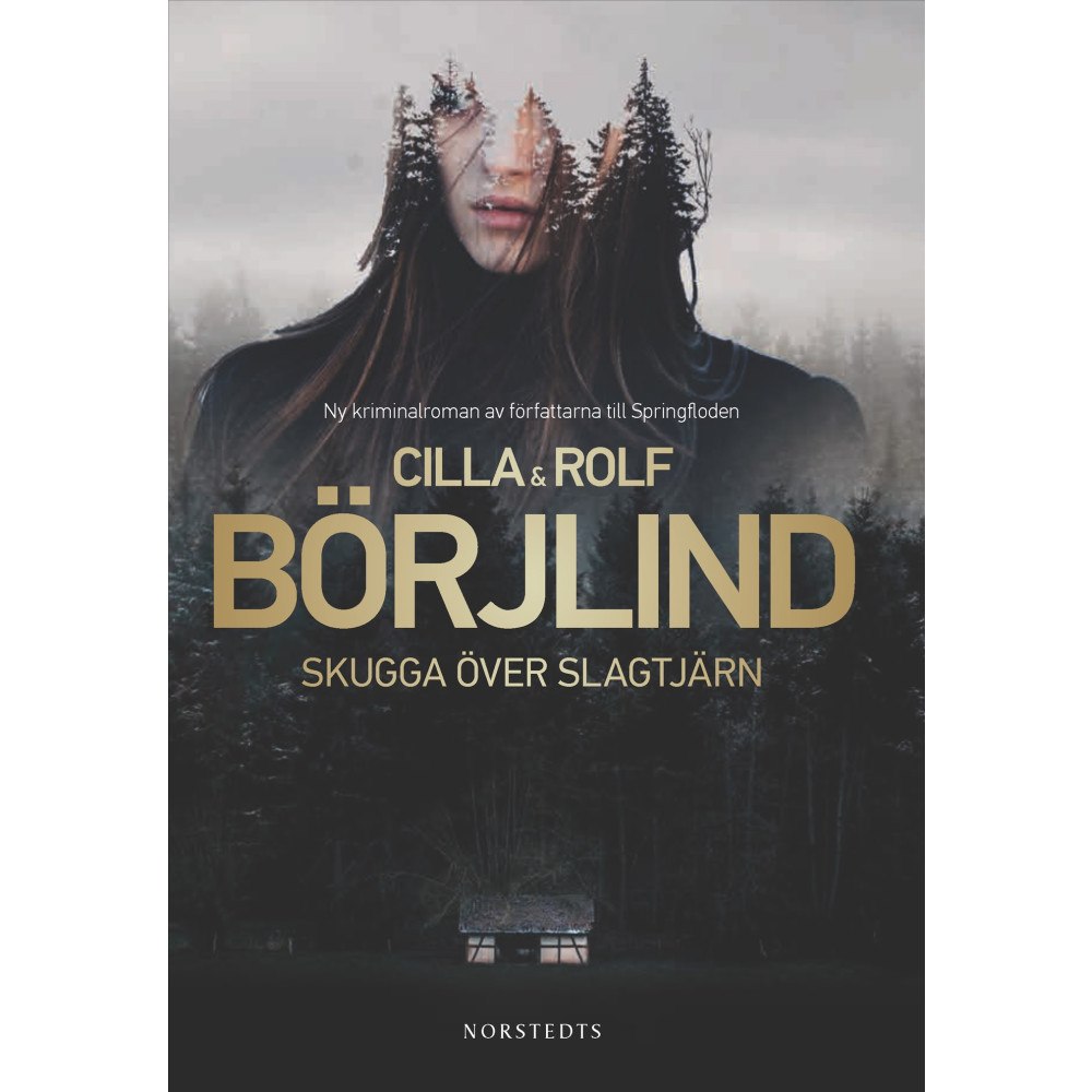 Cilla Börjlind Skugga över Slagtjärn (bok, storpocket)