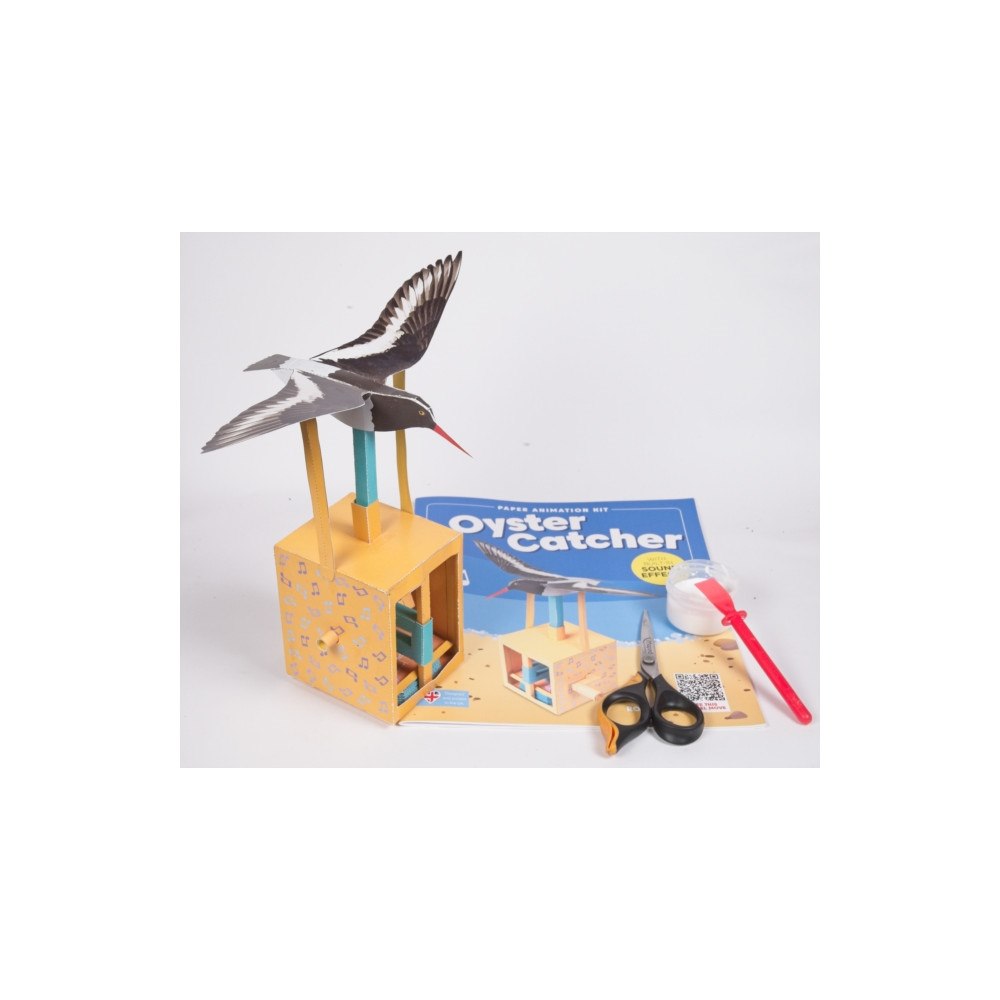 GO ON MAKE ME Oyster Catcher -Rob Ives Paper Animation Kit