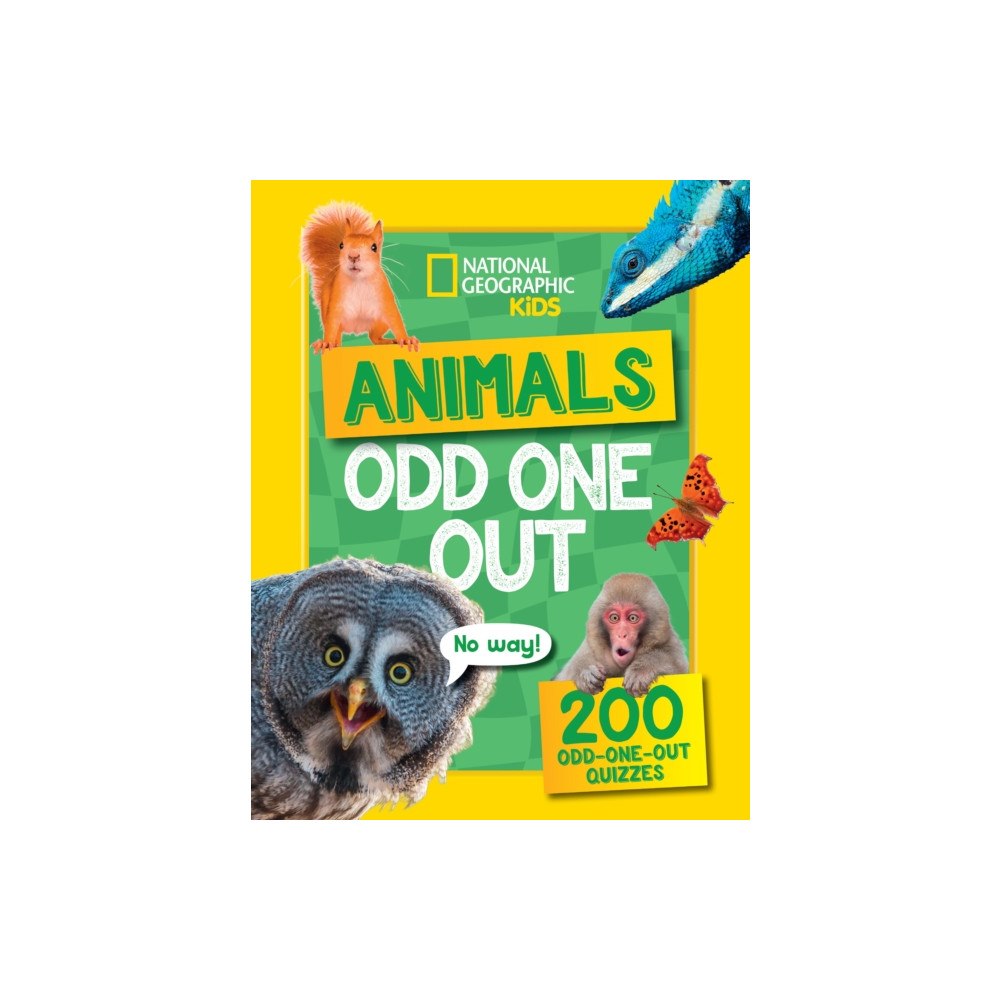 HarperCollins Publishers Animals Odd One Out (häftad, eng)