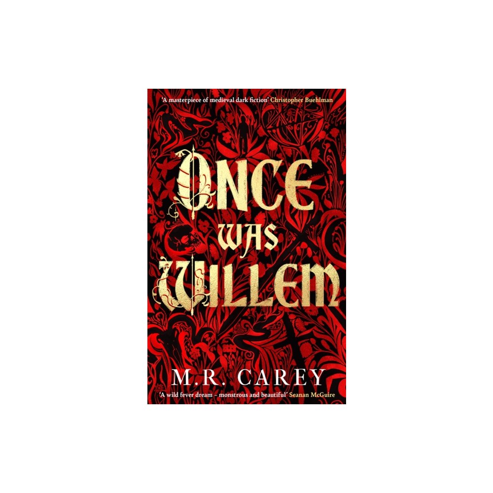 Little, Brown Book Group Once Was Willem (häftad, eng)