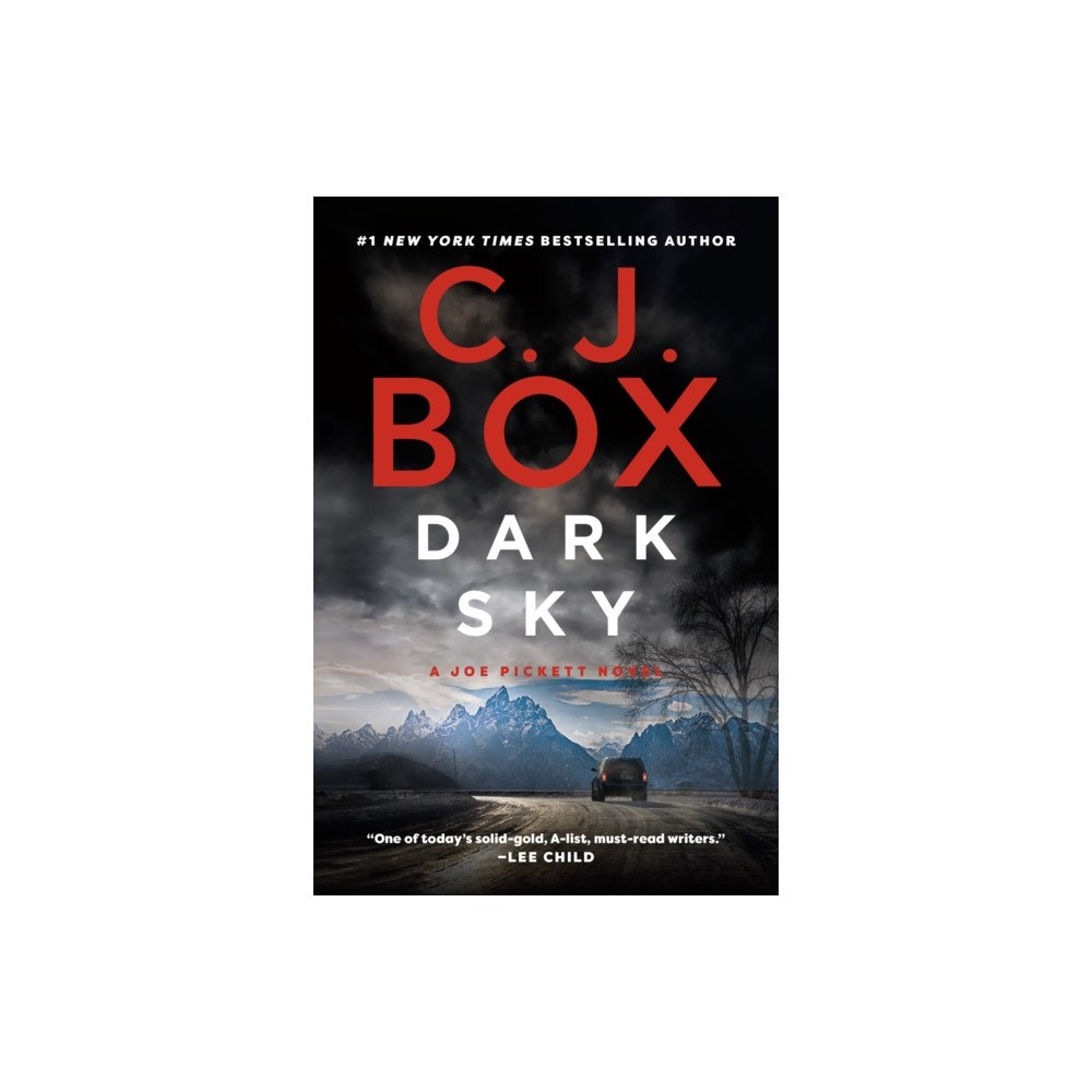 Not Stated Dark Sky (häftad, eng)