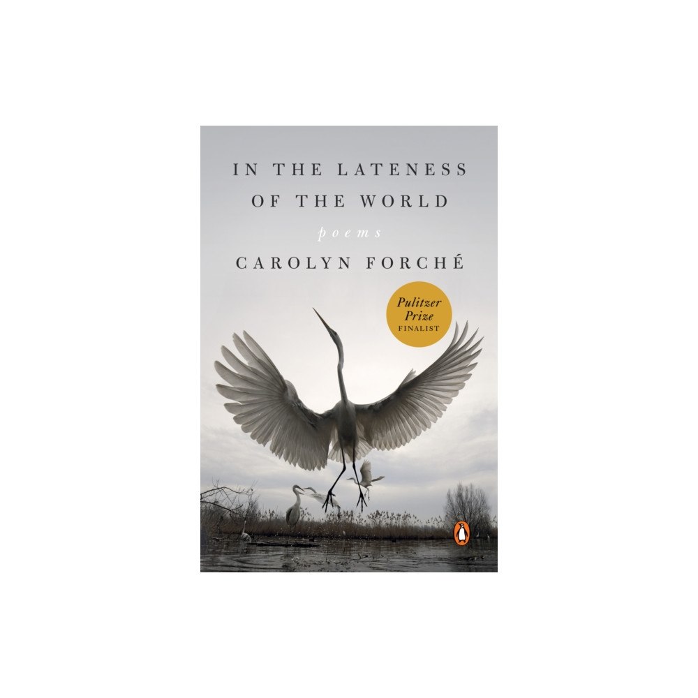 Not Stated In the Lateness of the World (häftad, eng)