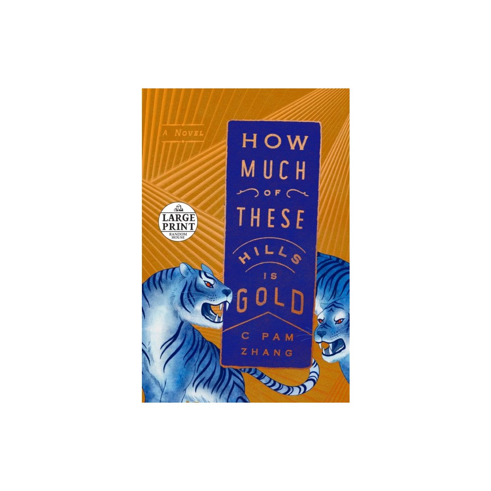 Not Stated How Much of These Hills Is Gold (häftad, eng)