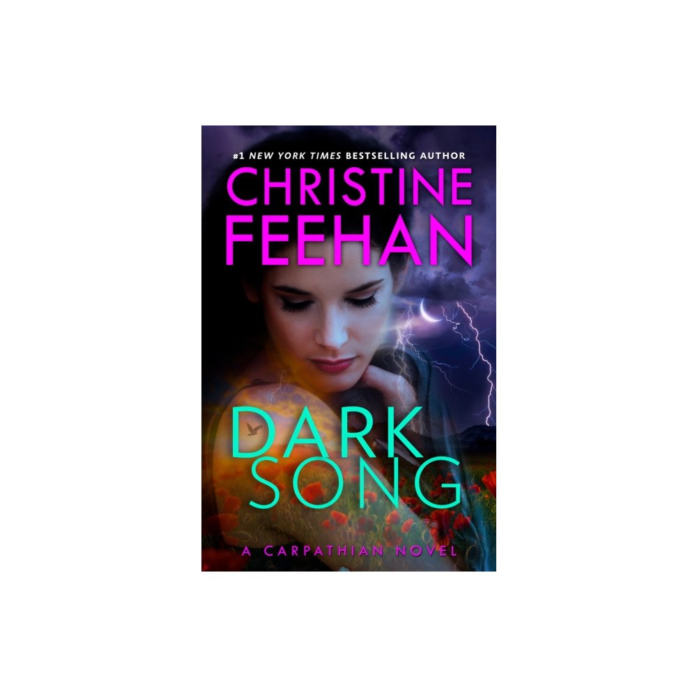 Not Stated Dark Song (häftad, eng)