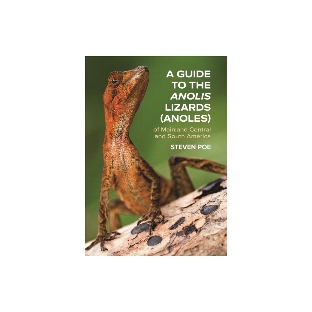Princeton University Press A Guide to the Anolis Lizards (Anoles) of Mainland Central and South America (häftad, eng)