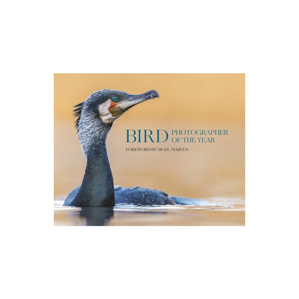 Princeton University Press Bird Photographer of the Year (inbunden, eng)