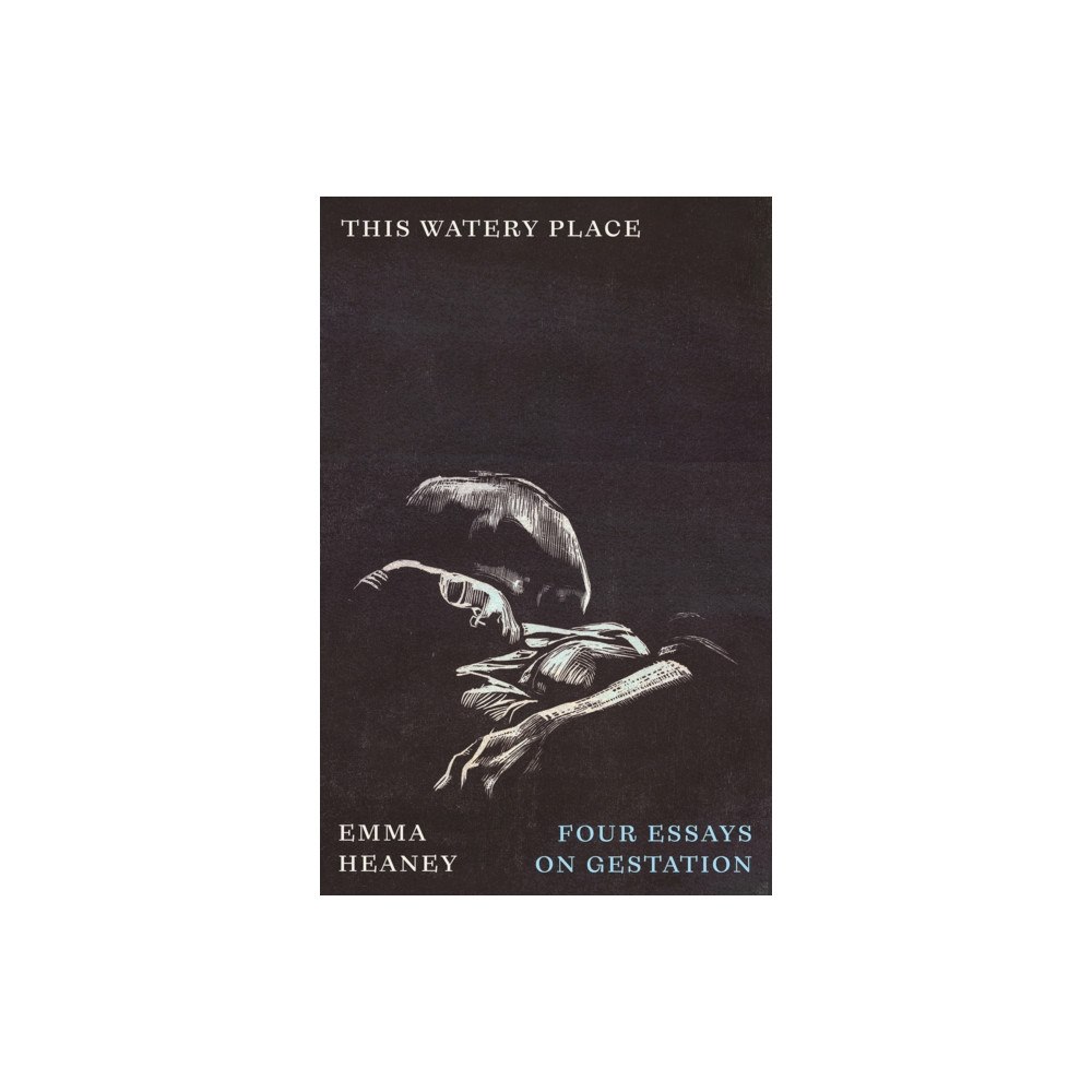 Pluto Press This Watery Place (häftad, eng)