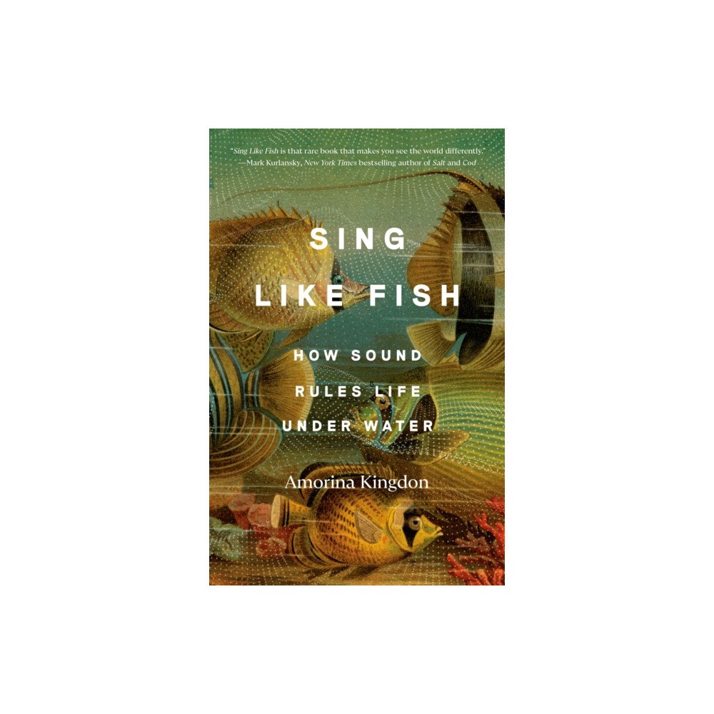 Not Stated Sing Like Fish (häftad, eng)