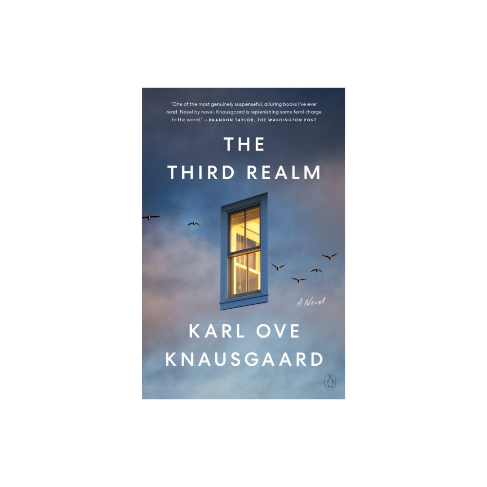 Not Stated The Third Realm (häftad, eng)