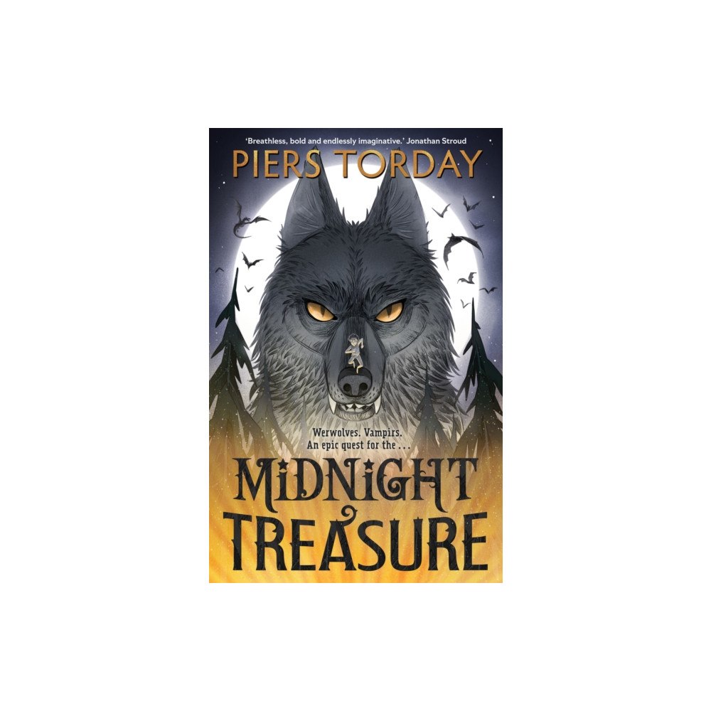 Hachette Children's Group Midnight Treasure (häftad, eng)