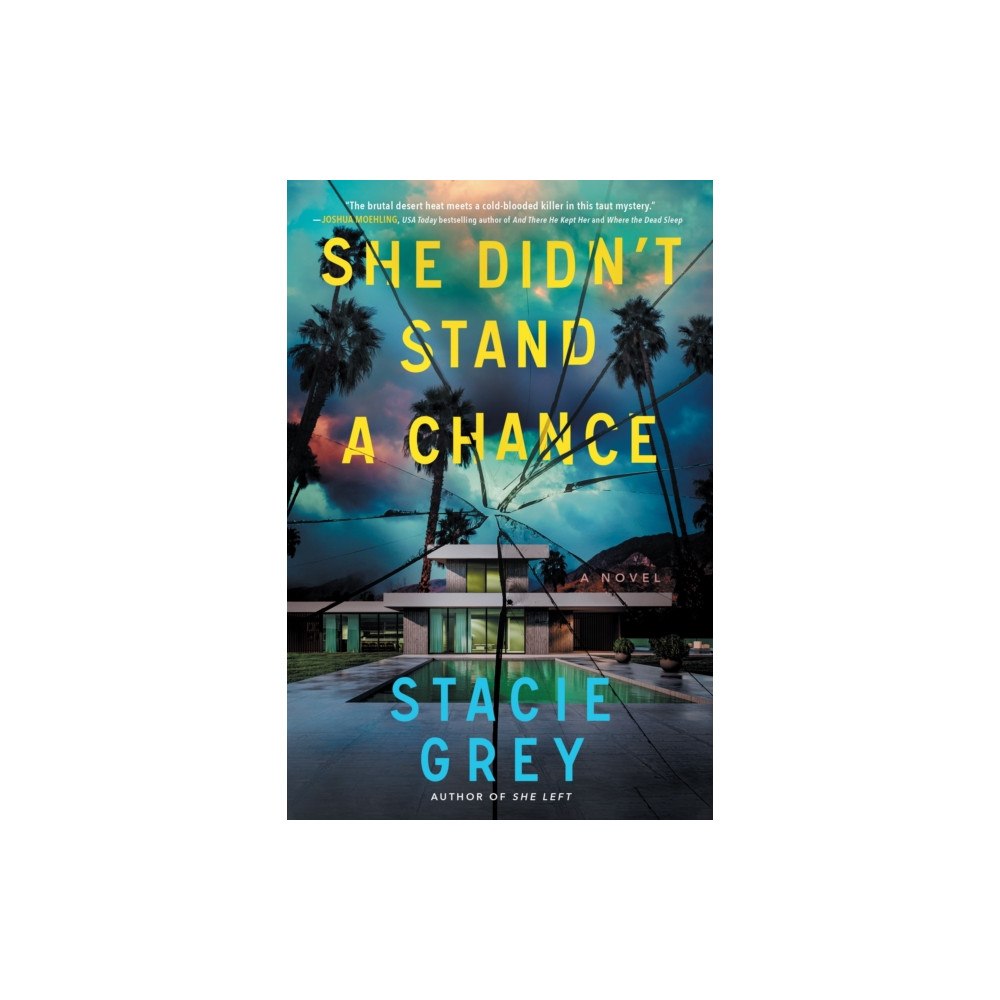 Sourcebooks, Inc She Didn't Stand a Chance (häftad, eng)