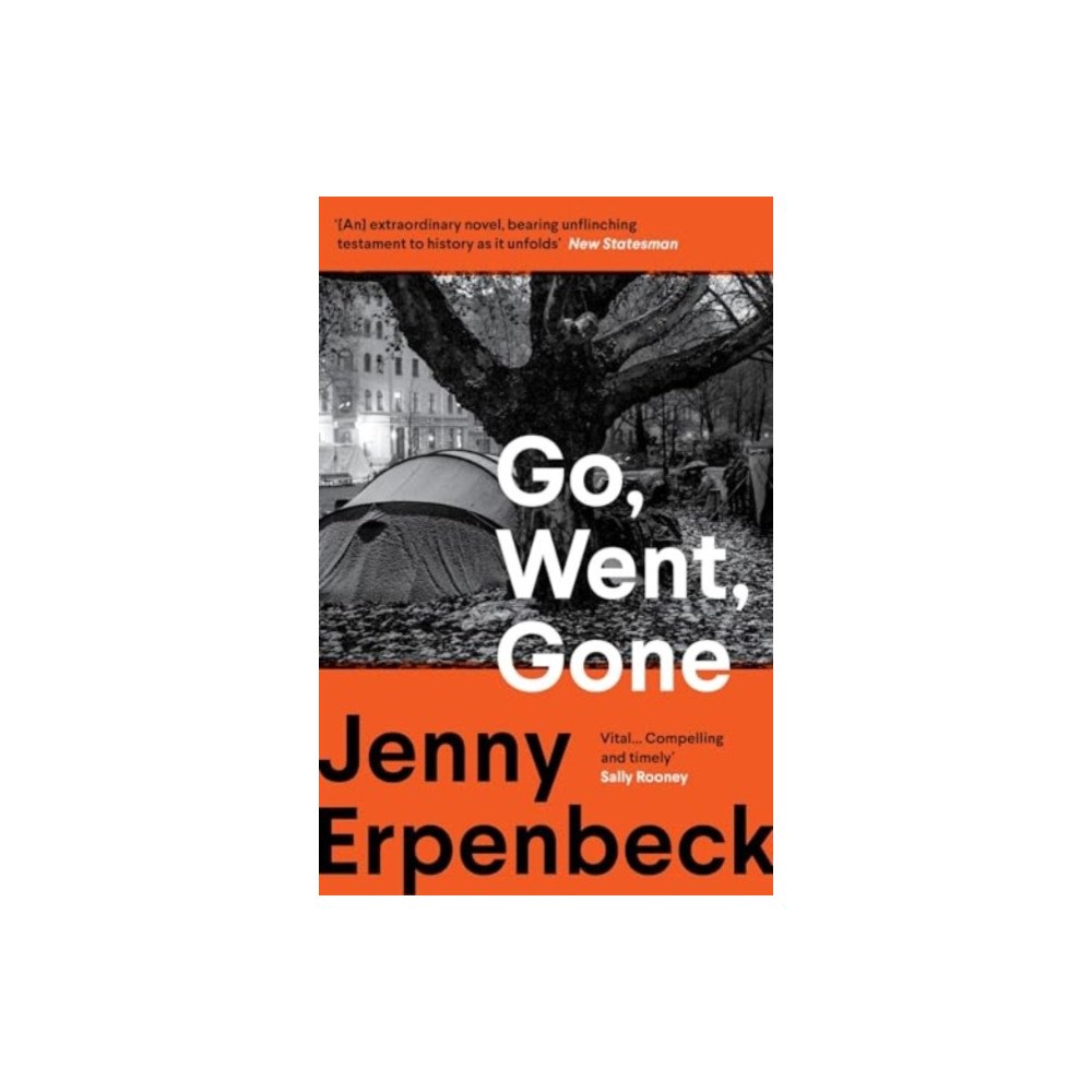 Granta Books Go, Went, Gone (häftad, eng)