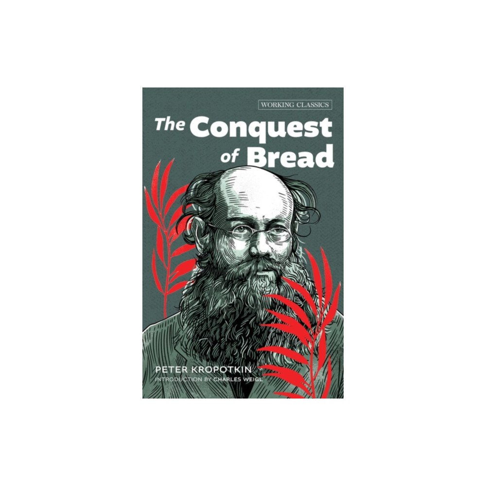 AK Press The Conquest of Bread (häftad, eng)